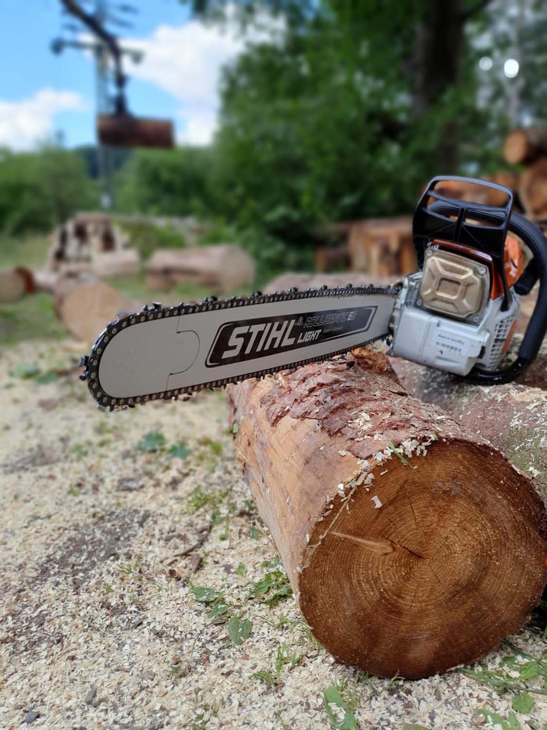 Stihl Motorsäge auf Baumstamm