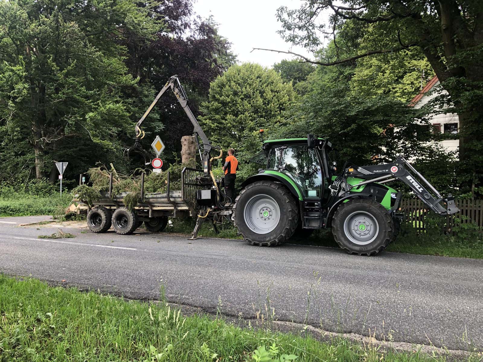 Abtransport Stammholz