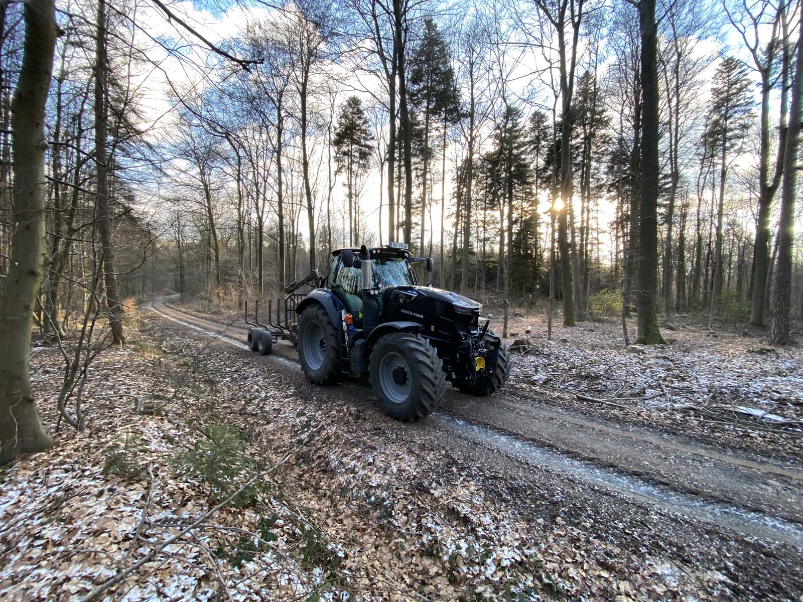 Stammholzbearbeitung im Wald