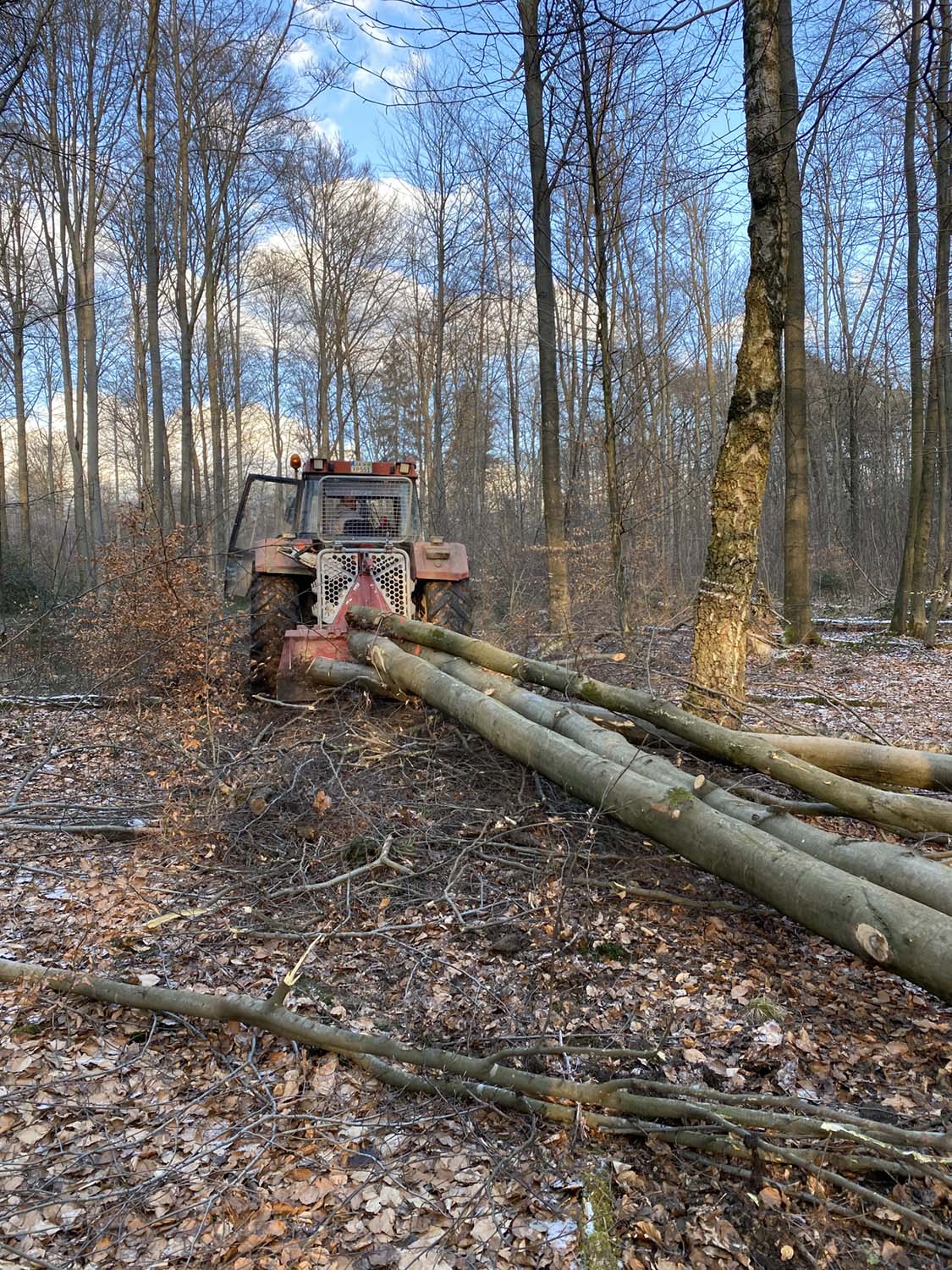 Martin Grollius bei der Holzbearbeitung
