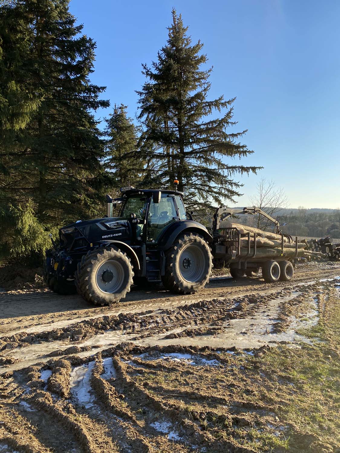 Brennholzernte bei Nacht