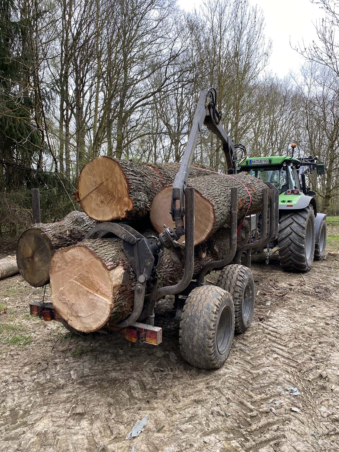 Deutz Fahr 5120 im Wald
