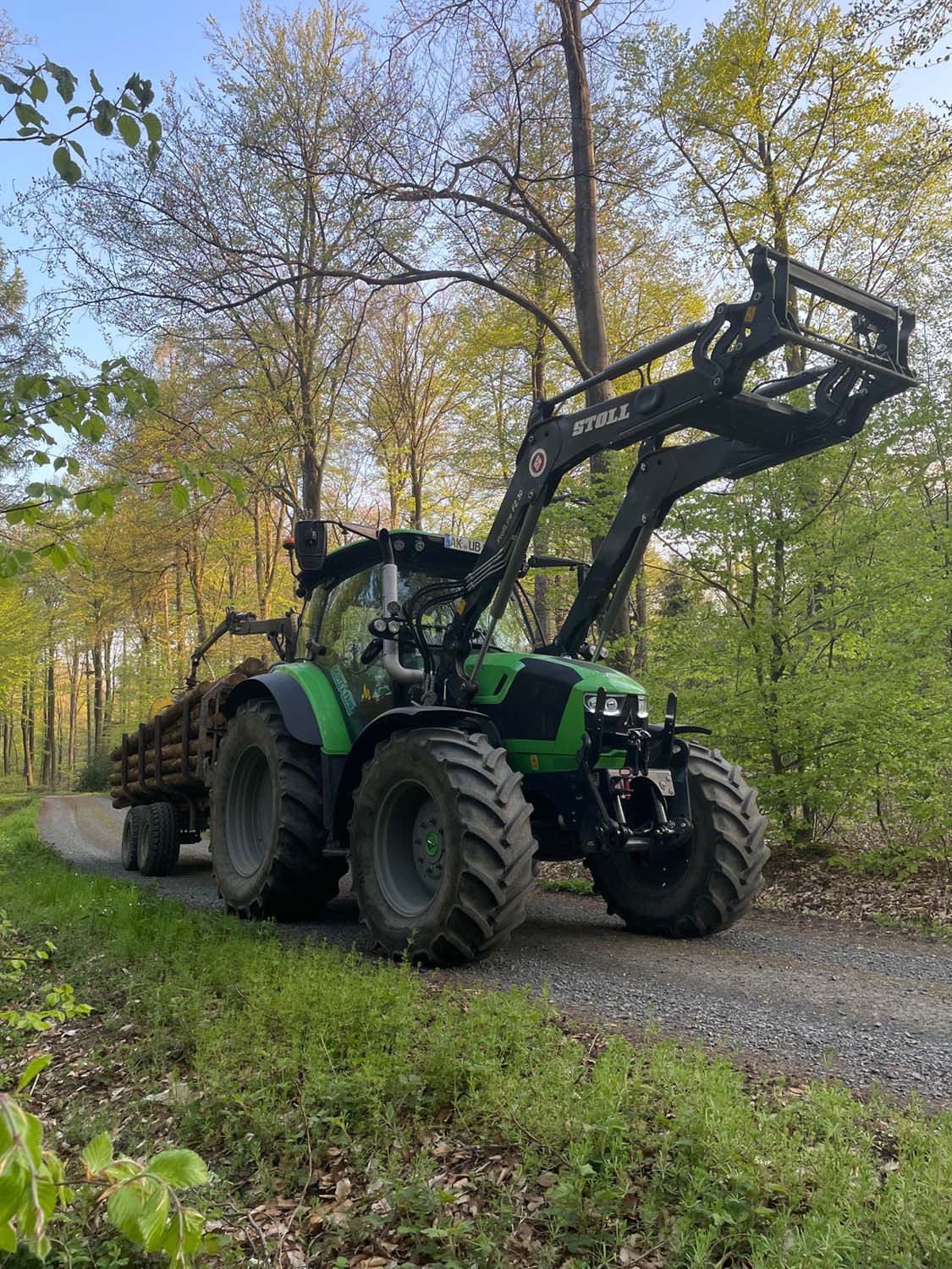 Stammholzabtransport aus dem Wald